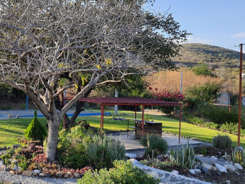 Zona de Parrilla y asado